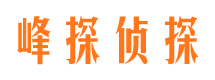 东平市婚外情调查